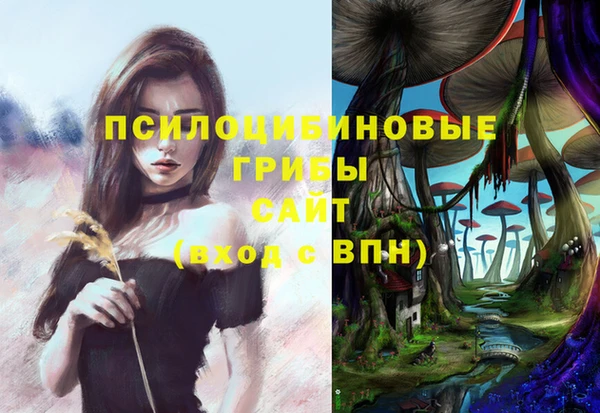 кокаин Инта