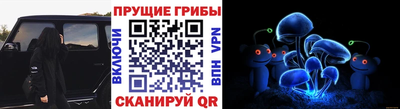 Псилоцибиновые грибы Cubensis Воркута